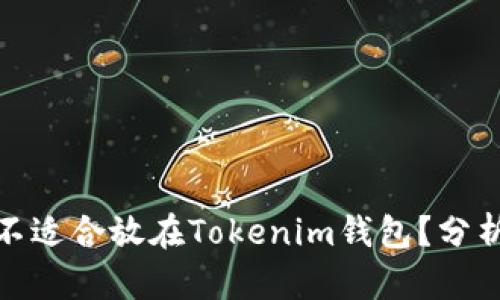 哪些币不适合放在Tokenim钱包？分析与建议