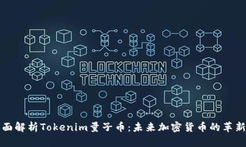 全面解析Tokenim量子币：未来加密货币的革新者