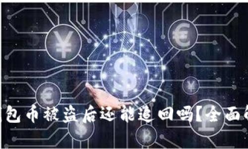 Tokenim钱包币被盗后还能追回吗？全面解析与建议