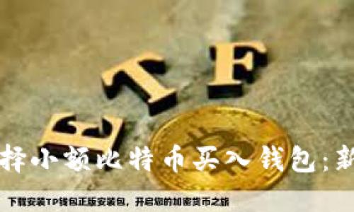 如何选择小额比特币买入钱包：新手指南