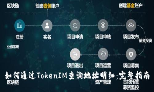 如何通过TokenIM查询地址明细：完整指南