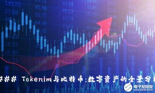 ### Tokenim与比特币：数字资产的全景分析