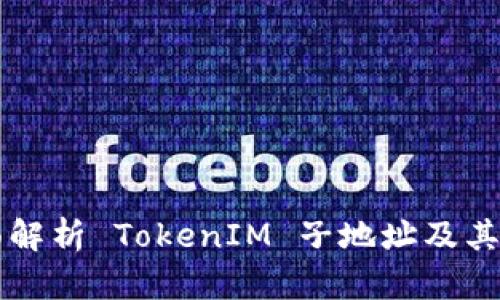 全面解析 TokenIM 子地址及其应用