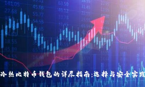 冷热比特币钱包的详尽指南：选择与安全实践