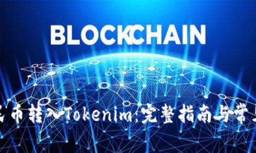 如何将人民币转入Tokenim：完整指南与常见问题解答