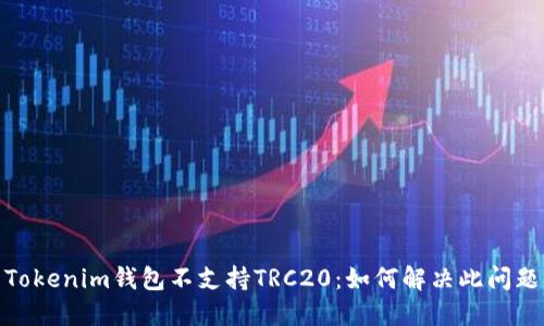 Tokenim钱包不支持TRC20：如何解决此问题