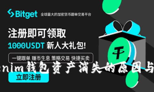 找回Tokenim钱包资产消失的原因与解决方案