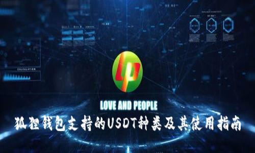 狐狸钱包支持的USDT种类及其使用指南