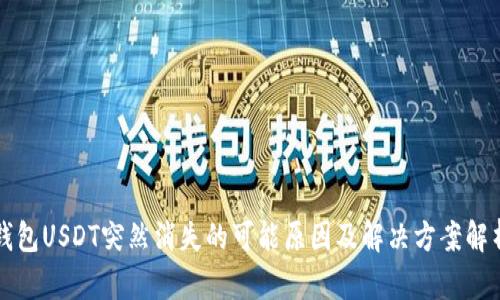 钱包USDT突然消失的可能原因及解决方案解析