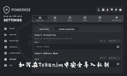 如何在Tokenim中安全导入私钥