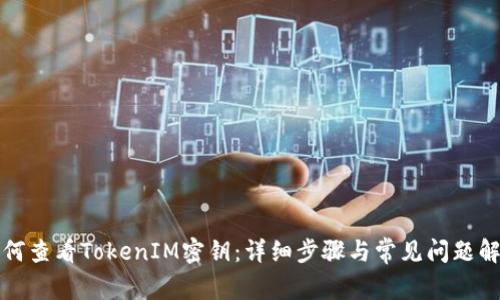 如何查看TokenIM密钥：详细步骤与常见问题解答