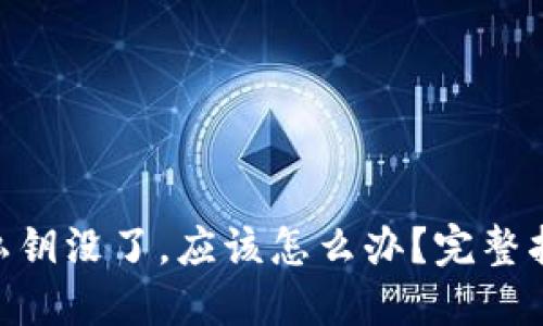 如果tokenim私钥没了，应该怎么办？完整指南与解决方案