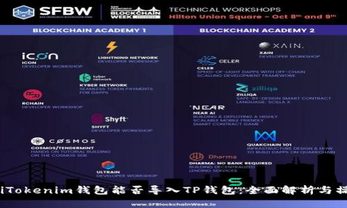 bianotiTokenim钱包能否导入TP钱包：全面解析与操作指南