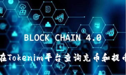 如何在Tokenim平台查询充币和提币记录