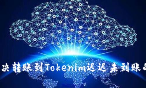 如何解决转账到Tokenim迟迟未到账的问题？