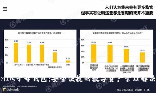 TokenIM子母钱包：安全便捷的数字资产管理解决方案