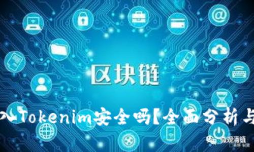 比特币存入Tokenim安全吗？全面分析与用户指南