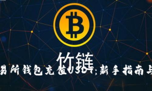 如何往交易所钱包充值USDT：新手指南与实用技巧