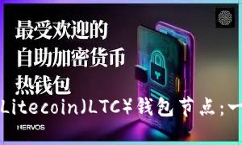 如何设置Litecoin（LTC）钱包节点：一步步指南