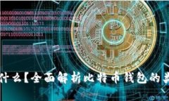 比特币钱包是什么？全面