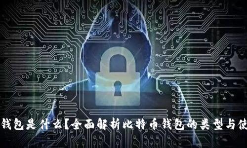 比特币钱包是什么？全面解析比特币钱包的类型与使用技巧