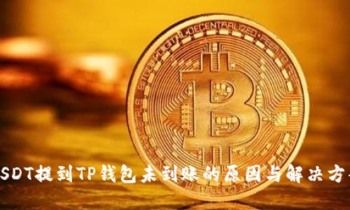 USDT提到TP钱包未到账的原因与解决方案