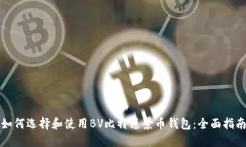 如何选择和使用BV比特愿景币钱包：全面指南