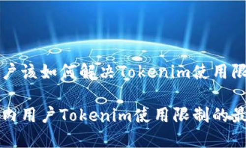 国内用户该如何解决Tokenim使用限制问题

解决国内用户Tokenim使用限制的最佳实践
