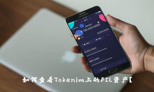 如何查看Tokenim上的FIL资产？