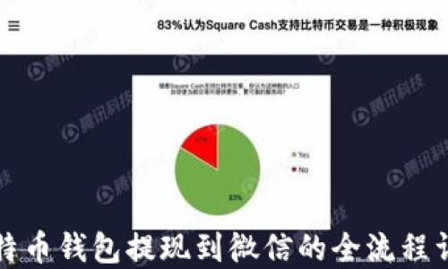 
比特币钱包提现到微信的全流程详解
