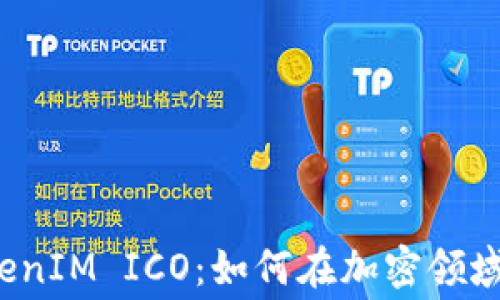 
了解TokenIM ICO：如何在加密领域Gas费用