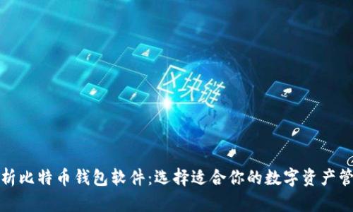 全面解析比特币钱包软件：选择适合你的数字资产管理工具