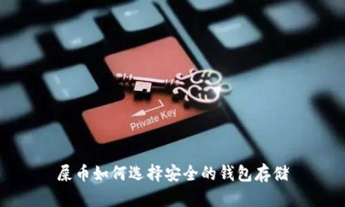 屎币如何选择安全的钱包存储