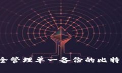 如何安全管理单一备份的