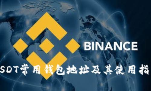 USDT常用钱包地址及其使用指南