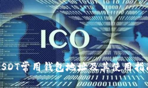 USDT常用钱包地址及其使用指南