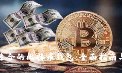 选择适合的比特币钱包：全面指南与推荐