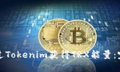 如何通过Tokenim获得TRX能量