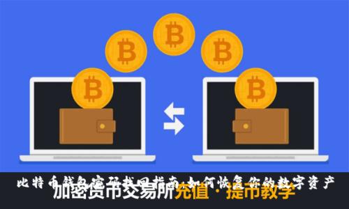 比特币钱包密码找回指南：如何恢复你的数字资产