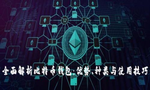 全面解析比特币钱包：优势、种类与使用技巧