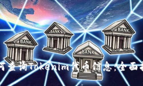 如何查询Tokenim代币信息：全面指南