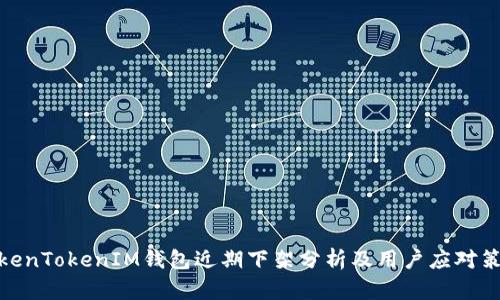 TokenTokenIM钱包近期下架分析及用户应对策略