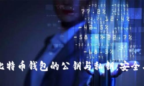 深入了解比特币钱包的公钥与私钥：安全与使用指南