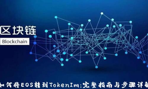 
如何将EOS转到TokenIm：完整指南与步骤详解
