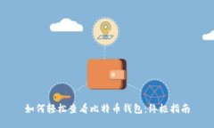 如何轻松查看比特币钱包：终极指南