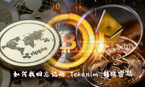 如何找回忘记的 Tokenim 转账密码