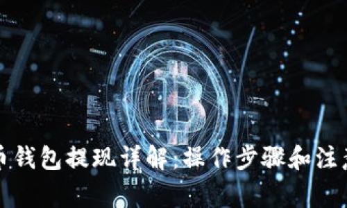比特币钱包提现详解：操作步骤和注意事项