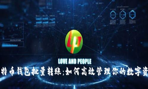 比特币钱包批量转账：如何高效管理你的数字资产