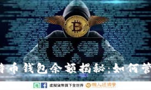 北大李晨比特币钱包余额揭秘：如何管理数字资产？