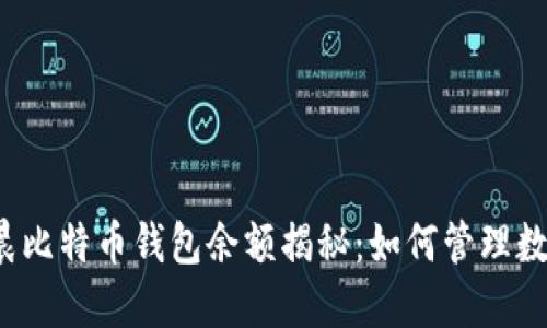 北大李晨比特币钱包余额揭秘：如何管理数字资产？